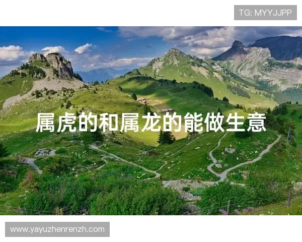 属龙属虎的事业合作建议：如何利用双方优势实现共同成长与成功